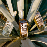 818 ANEJO