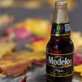 MODELO NEGRA
