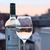 DARK HORSE SAUVIGNON BLANC 750
