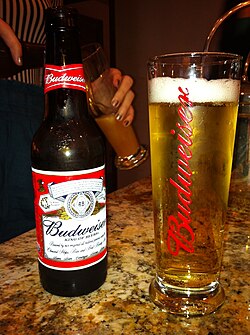 BUD LIGHT RITA GUAVA