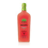 GLORIA WATERMELON MARGARITA