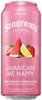 SEAGRAMS SPIKED STRAWBERRY CAN