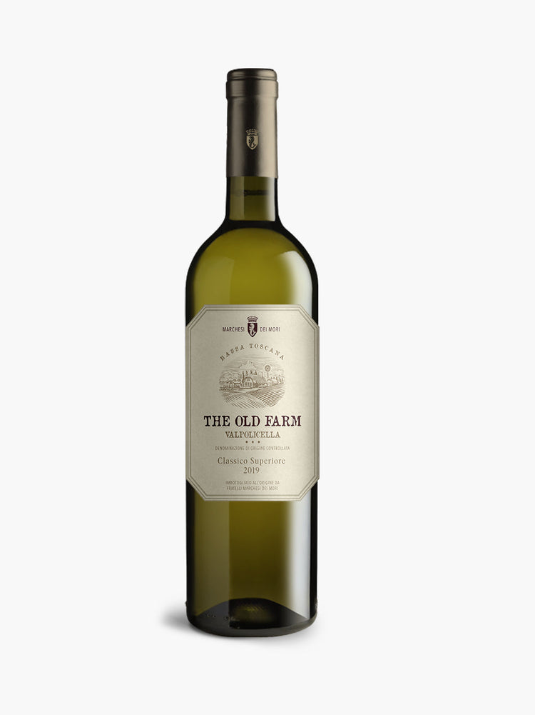 Bold Zinfandel